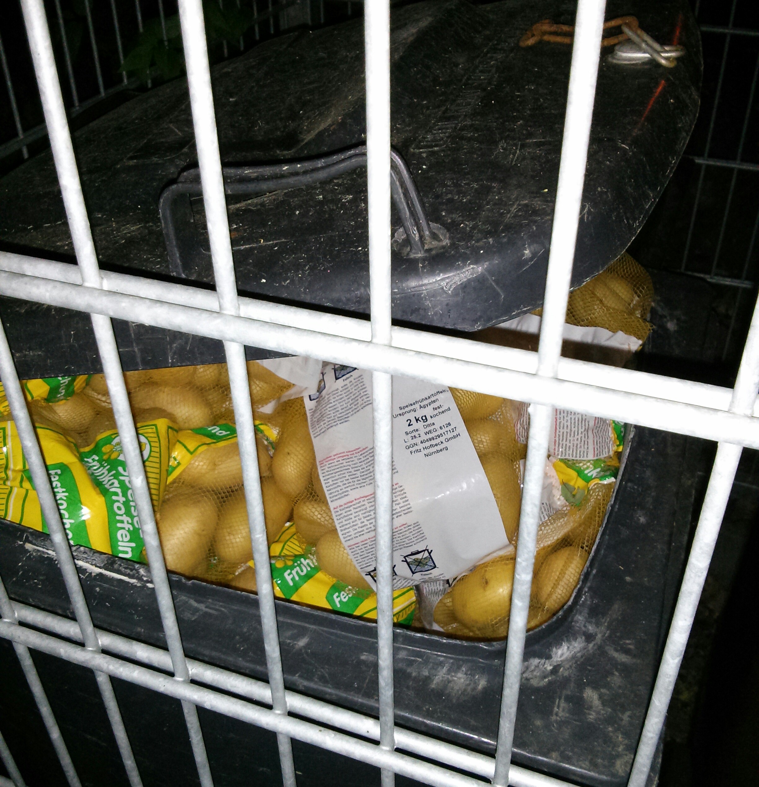 Kartoffeln in der Mülltonne Aldi-Süd