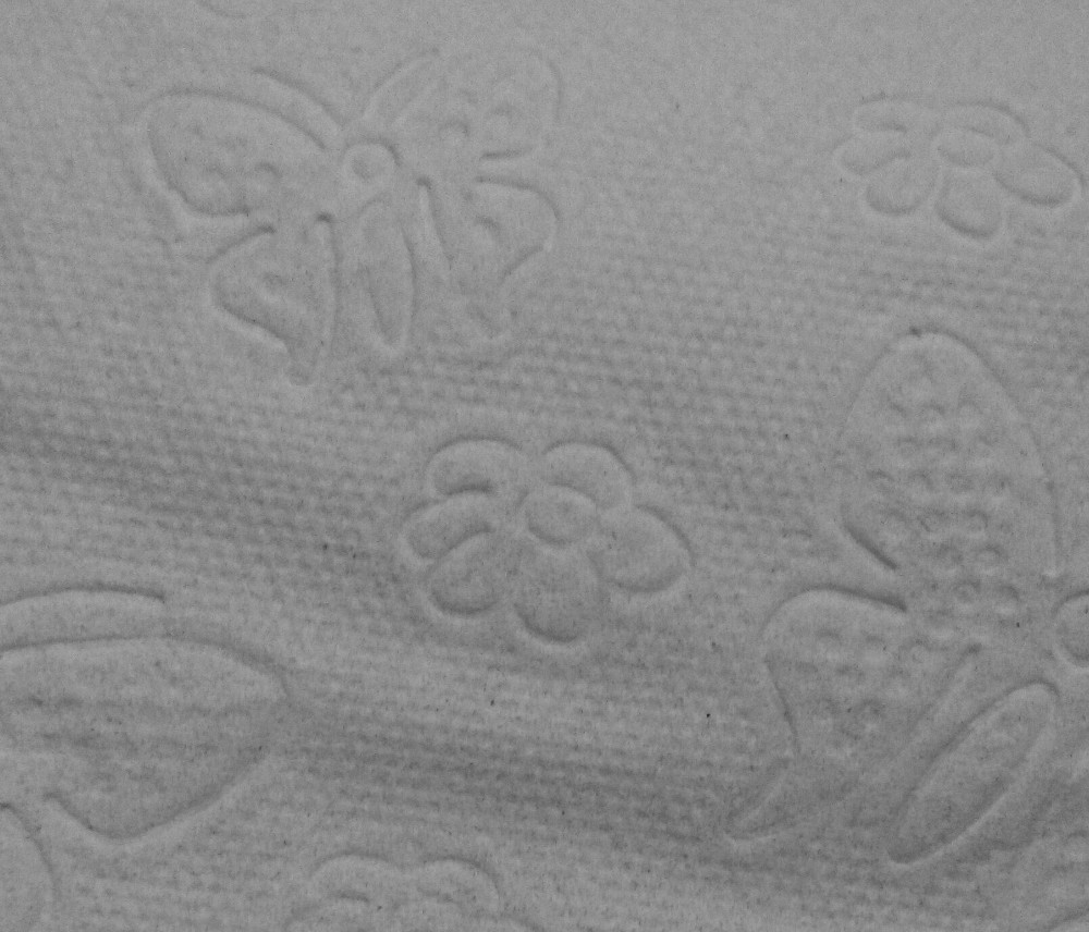 Klopapier Alternative