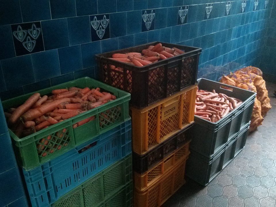 Foodsharing Möhren