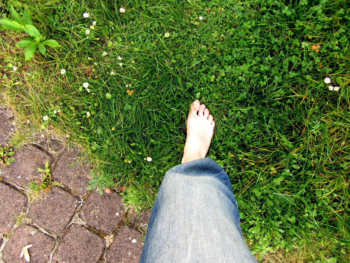 Komfortzone erweitern - Titelbild