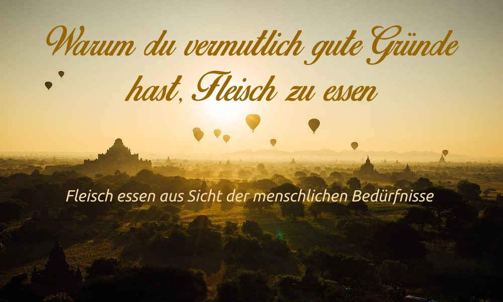 Bedürfnisse hinter Fleisch essen